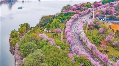 跑进春天具象化了