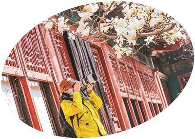 Colorwalk怎么火了