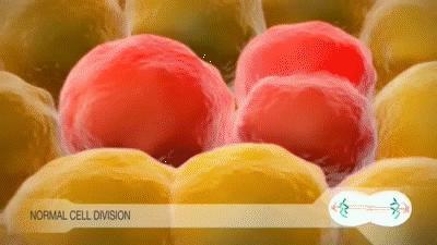 2亿国人的甲状腺在闹脾气 检出率快速上升引发关注