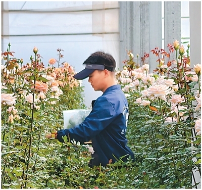 科技小院里的年轻人 把青春华章写在田间地头