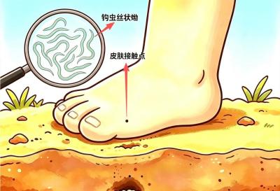 偷营养的“小贼”：入侵、操控人体与环境的奥秘