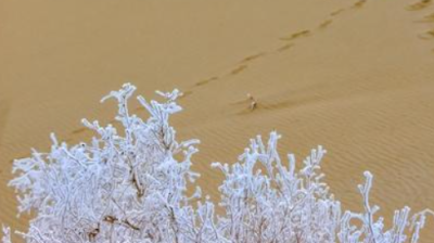 沙漠也有雾凇？四大场景解锁别样冰雪奇缘