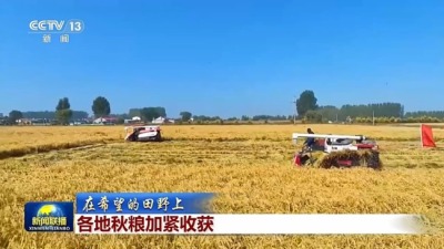 全国秋粮收获已过四成