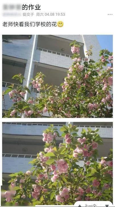 老师发错作业到毕业群 没想到依旧收到了学生们的答卷  