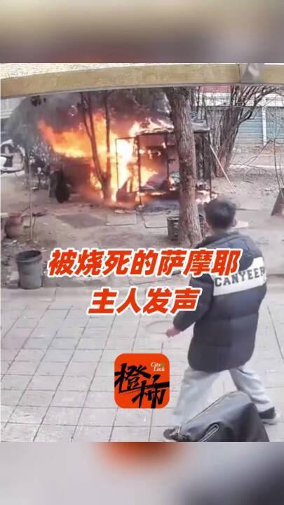 被烧死萨摩耶主人称已和解 和解引发网友质疑