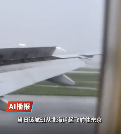 日本一客机空中剧烈颠簸惊险着陆 平安降落引发关注