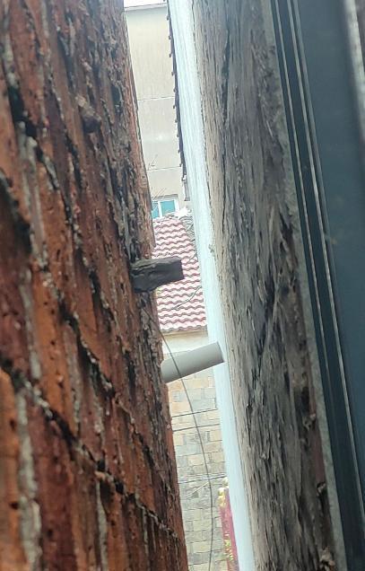 男子杀害邻居自首不具有从轻量刑情节 态度嚣张拒绝悔罪