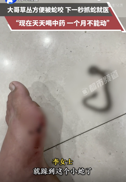 男子草丛方便被蛇咬 迅速抓蛇就医