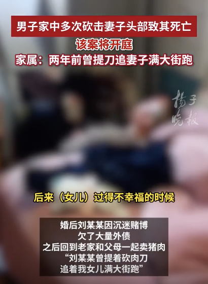 男子砍击妻子头部致死案将开庭