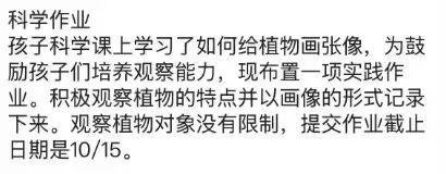 一年级孩子遭遇“开学最大打击”