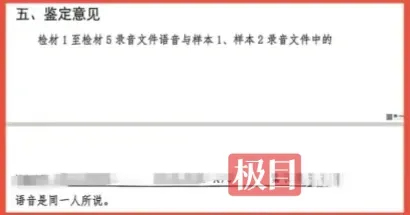 70岁保洁母亲被判替女还债百万 录音鉴定争议待解