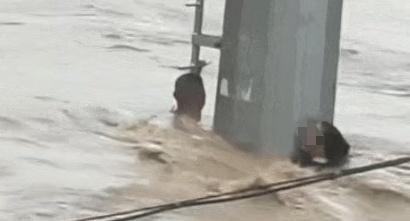 浙江湖州夫妻洪水中抱塔获救