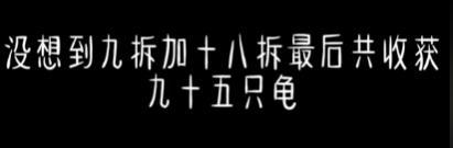 💰欢迎进入🎲官方正版✅硬控全红婵的乌龟盲盒，将“喂出”上市公司“卡游” 潮玩经济新热点  第5张