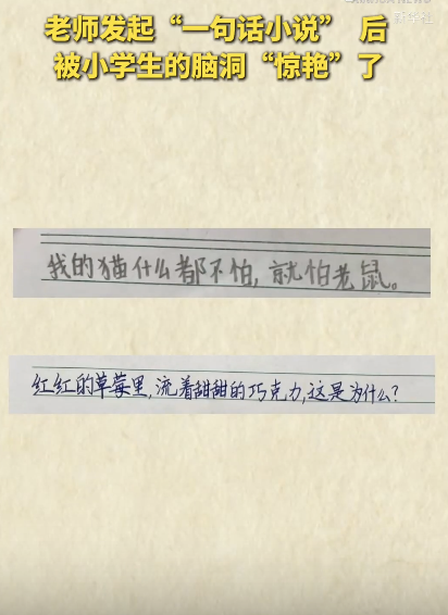 一句话小说挑战 小学生脑洞惊艳老师