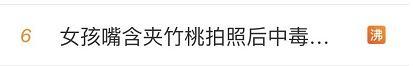 夾竹桃全株有毒千萬(wàn)別亂碰 美麗背后的危險(xiǎn)