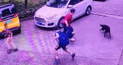 男孩被黑狗追赶，老人用书包奋力驱赶 英勇行为获赞
