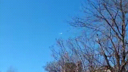 videoplayback (8) (2).gif