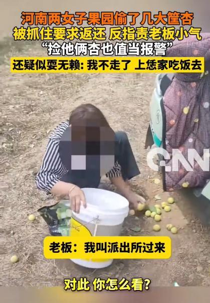 兩女子偷杏被抓責(zé)備老板小氣 無(wú)恥行為引熱議