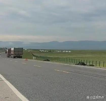 大货车撞死16头牦牛 每头市价约6千 草原悲剧引发关注