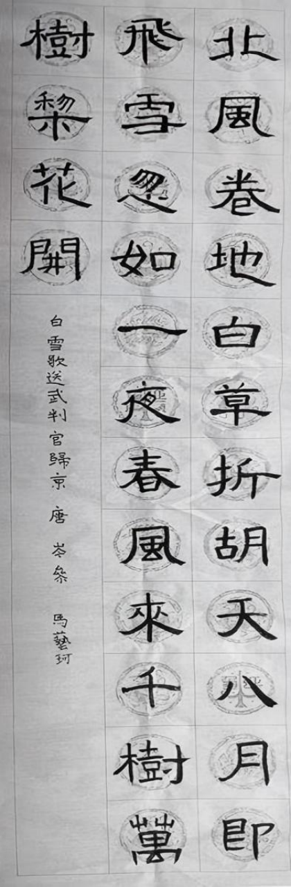 砚田栽种·初见风华