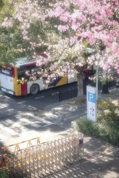 韩国网友偷广州街景图