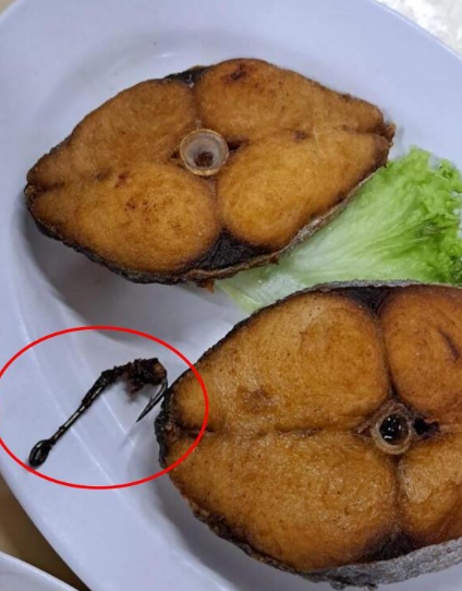 新加坡女子吃鱼咬到鱼钩