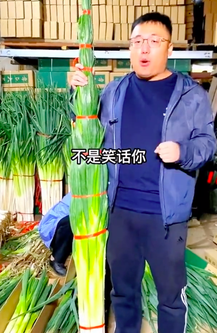 说你没葱高可能真的不是笑话你