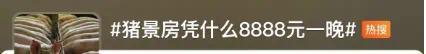 猪景房入住就送一头猪？凭什么8888元一晚