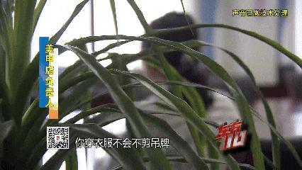 00后女子在滬倆月食宿全白嫖 “薅羊毛”高手落網(wǎng)