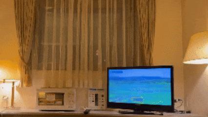 7.5級(jí)強(qiáng)震后日本又發(fā)生6.6級(jí)地震 多地海嘯與避難警報(bào)