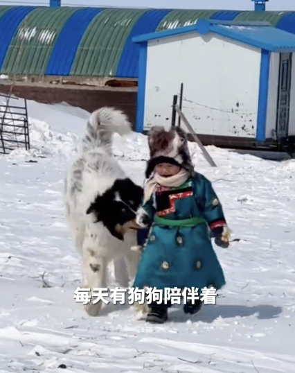 狗狗在雪地和3岁小主人玩闹 有爱互动惹人笑