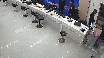 群众捡到“小鹿”竟是保护动物 小麂获救记