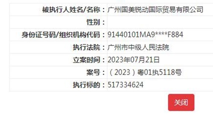 国美控股集团等被强执 执行标的超5亿元