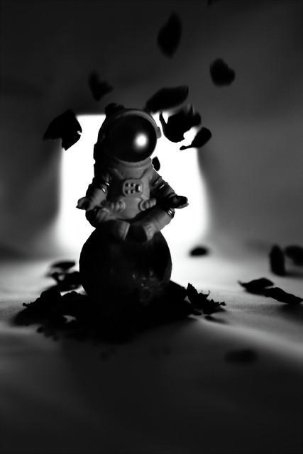 美国绕月飞船返回 载人登月有戏吗 人类探月迈入新阶段