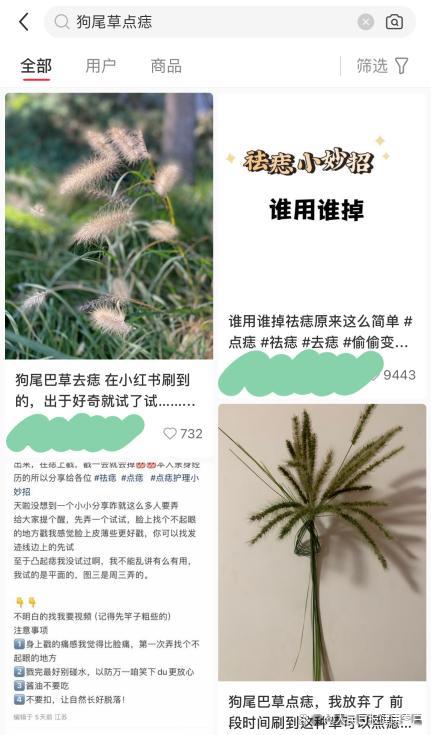 网络流行狗尾巴草祛痣引模仿，可能误伤皮肤组织或掩盖病变