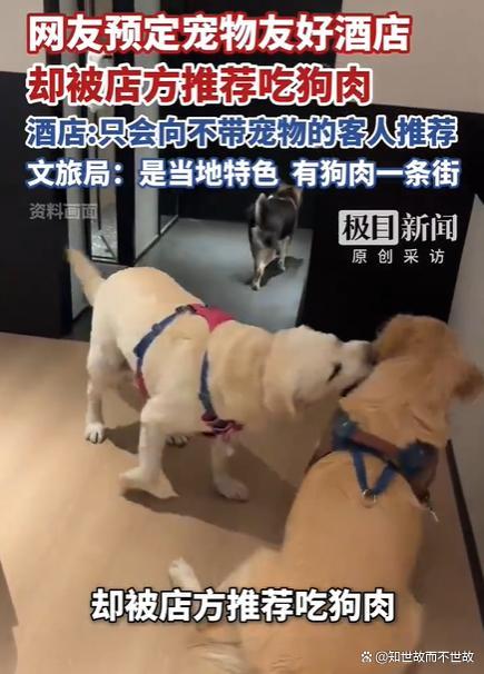 文旅局回应宠物友好酒店推荐吃狗肉
