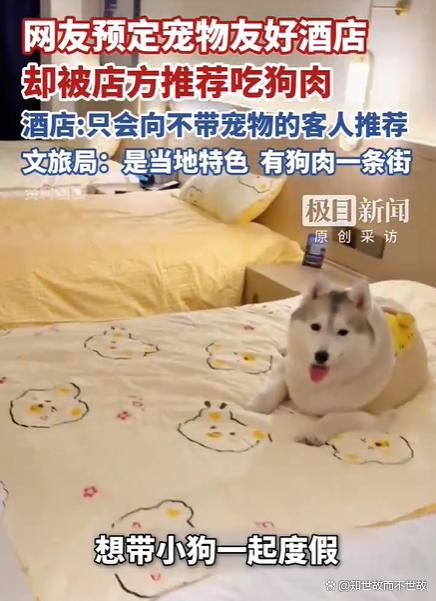 预定宠物友好酒店却被推荐吃狗肉 宠物友好的悖论