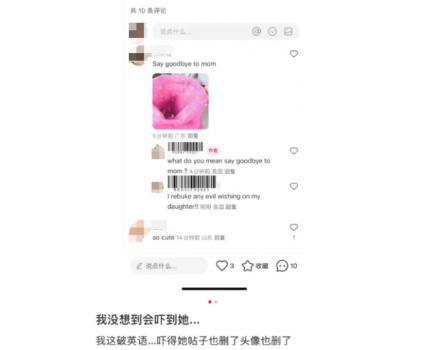 小紅書被海泡了一下,，“TikTok難民”的浪還在拍打中國(guó)社交媒體的岸頭