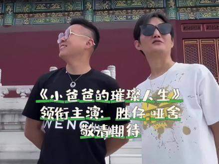 小爸爸的灿艳东谈主生演员表，主演名单先容