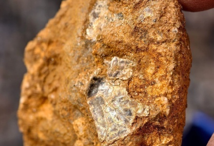 大连8岁男孩疑发现金矿后续 好奇心引领探索