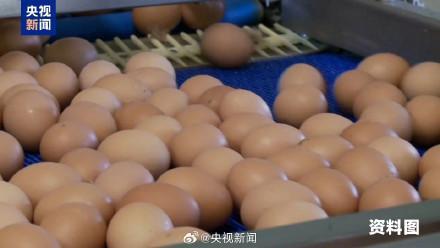 特朗普政府因蛋价起诉加州 质疑州法权限