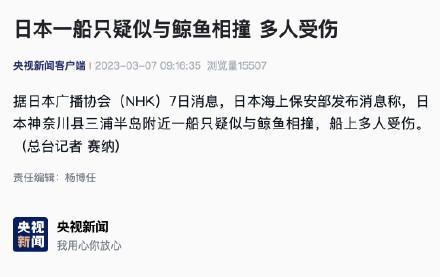 日本海上保安部：日本一船只疑与鲸鱼相撞 造成多人受伤