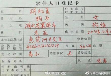 警方谈把狗写户口本上或担责涉嫌变造国家机关证件