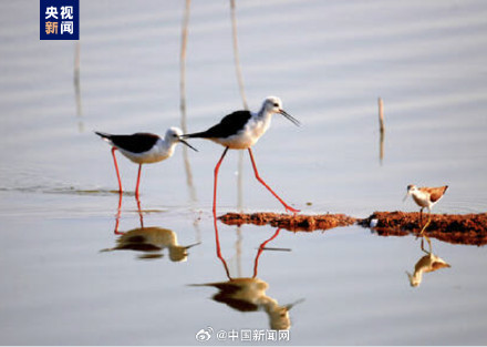 中国世界遗产名录又增2项