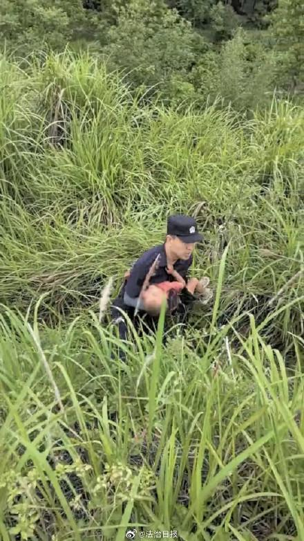 男童走失獲救追蹤犬瑪麗立功 警犬技術(shù)顯神威