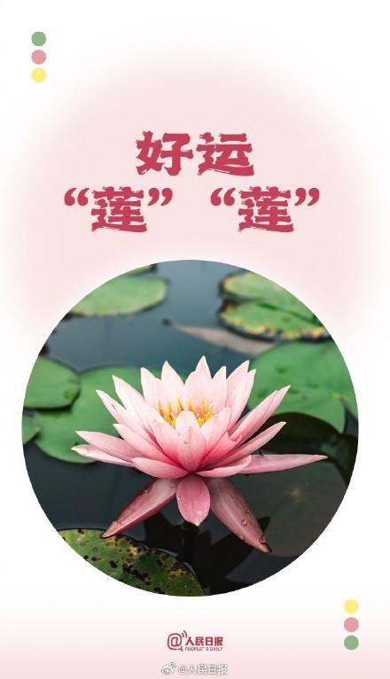 端午節(jié)后上班第1天,！你有一份夏日諧音祝福待查收