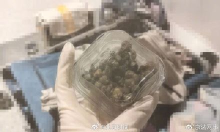 情侶攜帶新型毒品回國均被判刑