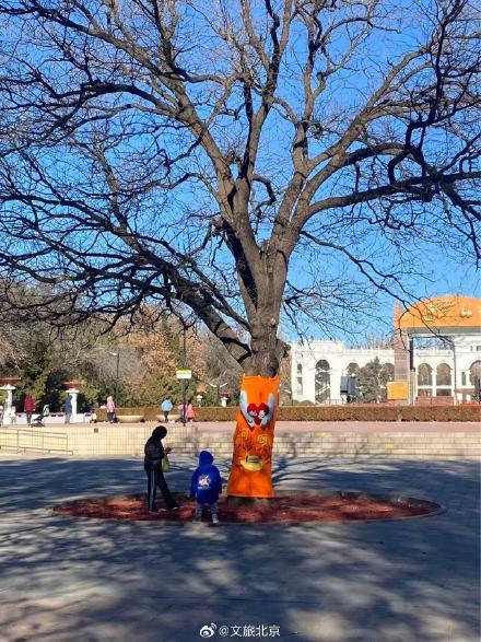 北京冬日在壩河邊Riverwalk太治愈了 藏好滿格暖意