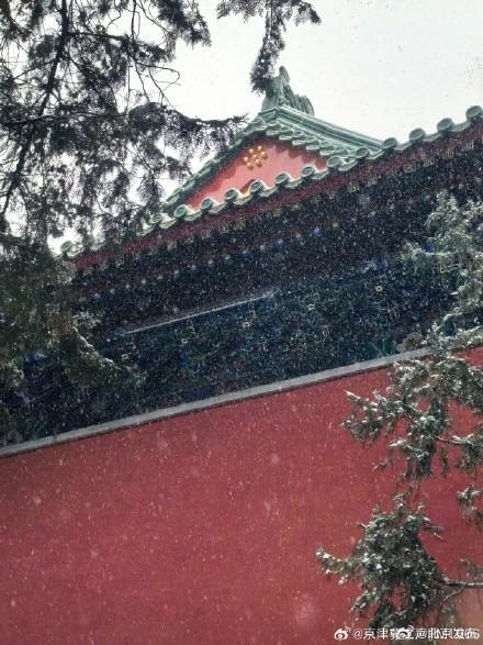 雪后颐和园美成了水墨画 京城初雪绘长卷