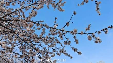 多地明确支持家长弹性休假